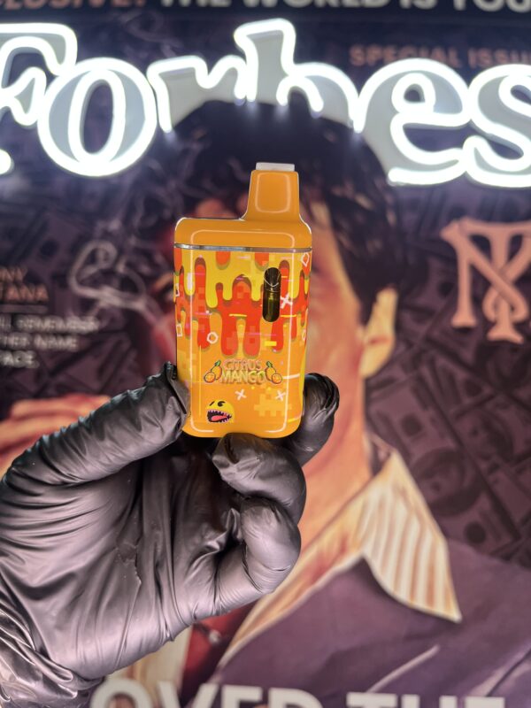 PACK MAN CITRUS MANGO V1 (HYBRID) 2GR