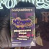 BACKPACKBOYZ CRYPTO FUNK (HYBRID) 2GR