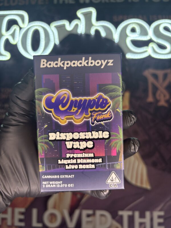 BACKPACKBOYZ CRYPTO FUNK (HYBRID) 2GR