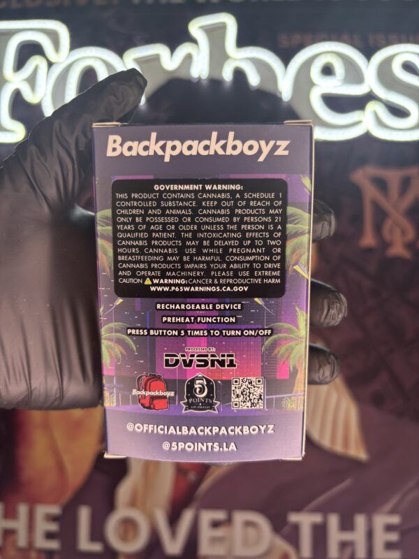 BACKPACKBOYZ CRYPTO FUNK (HYBRID) 2GR