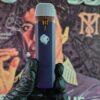 BIG CHIEF GRANDADDY PURPLE (INDICA) 2GR