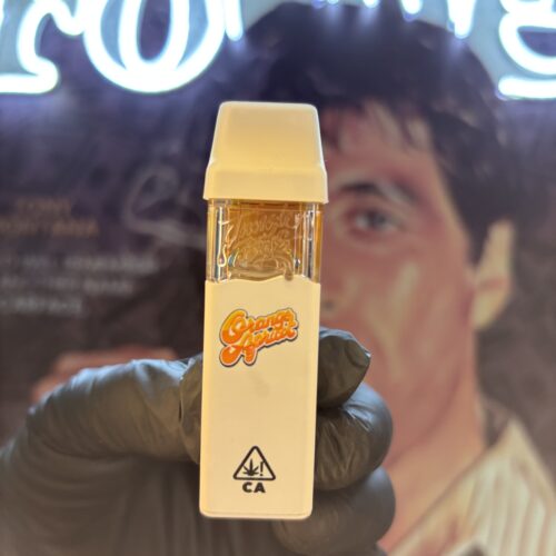 JUNGLE BOYS ORANGE APRICOT (HYBRID) 2gr