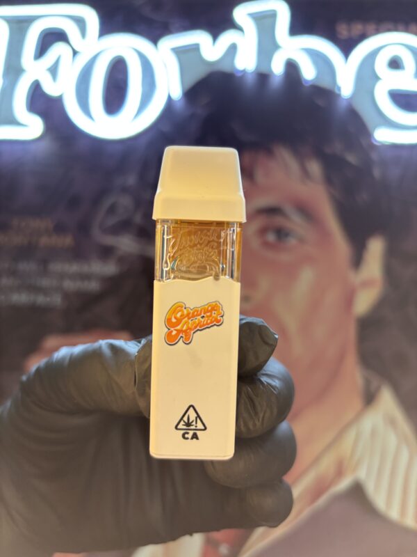 JUNGLE BOYS ORANGE APRICOT (HYBRID) 2gr