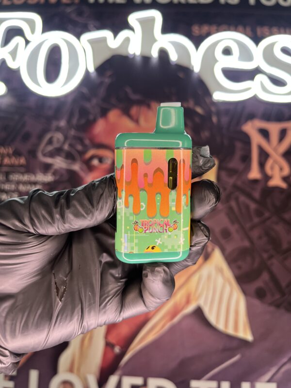 PACK MAN TROPICAL PUNCH V1 (HYBRID) 2GR