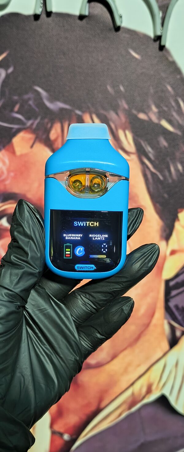 BLUEBERRY BANANA & RIDGELINE LANTZ 2 COOKIES BLUEBERRY BANANA & RIDGELINE LANTZ (INDICA & HYBRID) 2gr