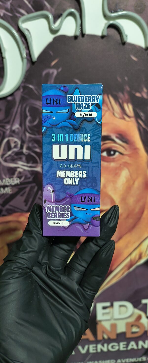 UNI BLUEBERRY HAZE & MEMBER BERRIES (HYBRID & INDICA) 2gr