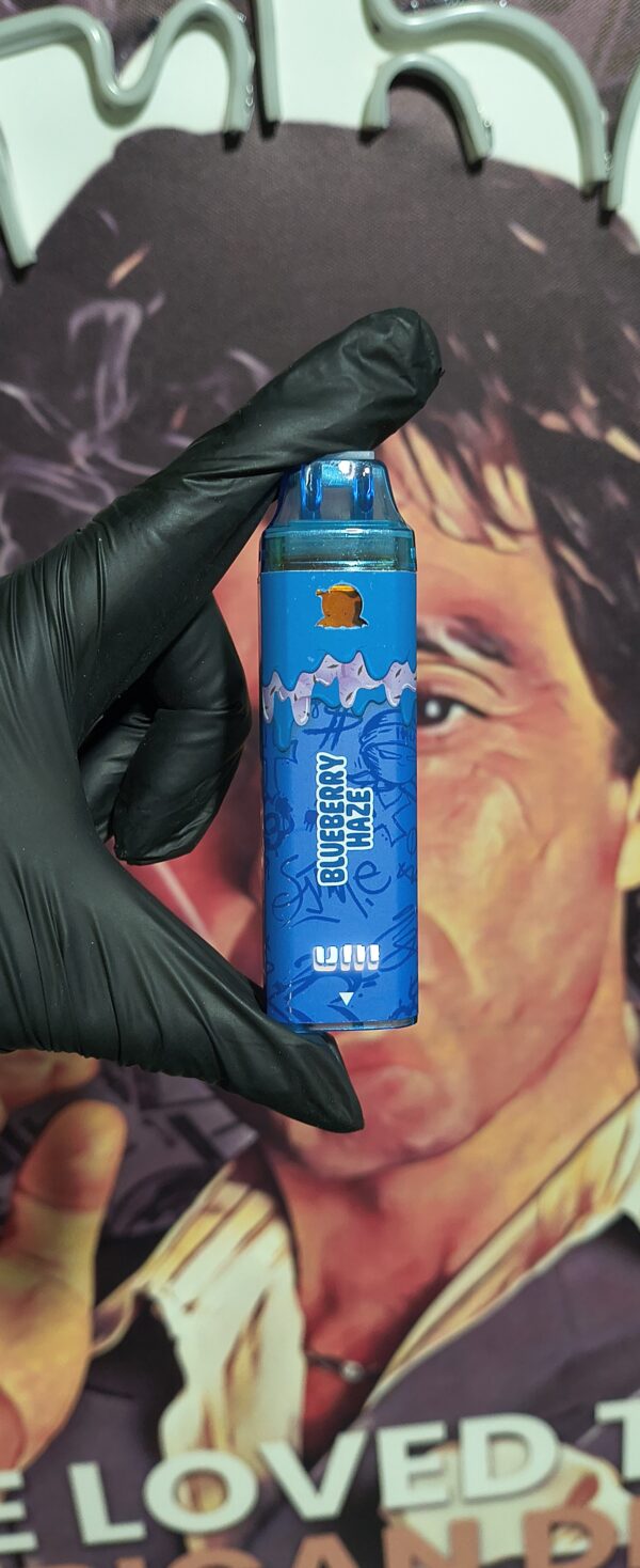 UNI BLUEBERRY HAZE & MEMBER BERRIES (HYBRID & INDICA) 2gr