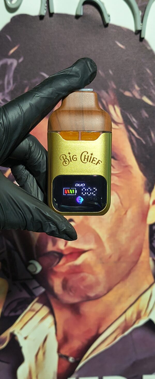 BIG CHIEF DUO MANGO TANGO & CHERRY FRITTER (INDICA & SATIVA) 2gr