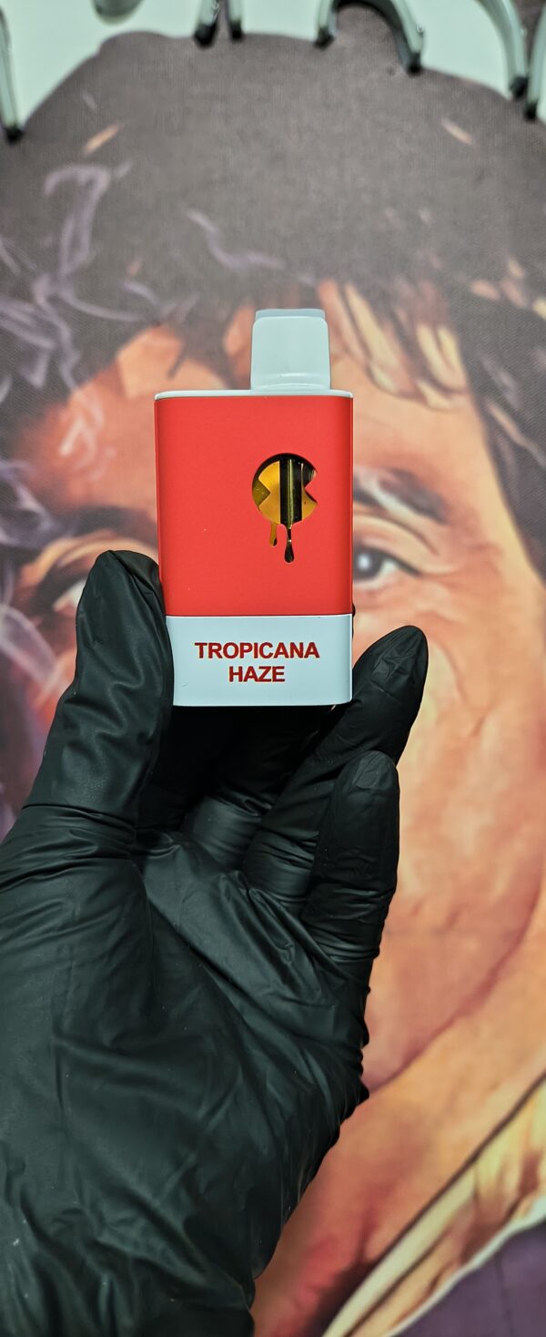 COLORS TROPICANA HAZE (HYBRID) 3gr