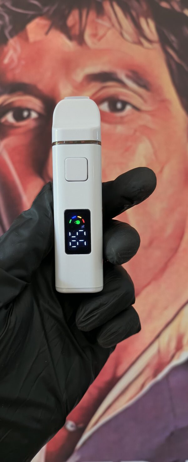 BIRKIN DREAM 5 PACKS X BIRKINZ BIRKIN DREAM (HYBRID) 2gr