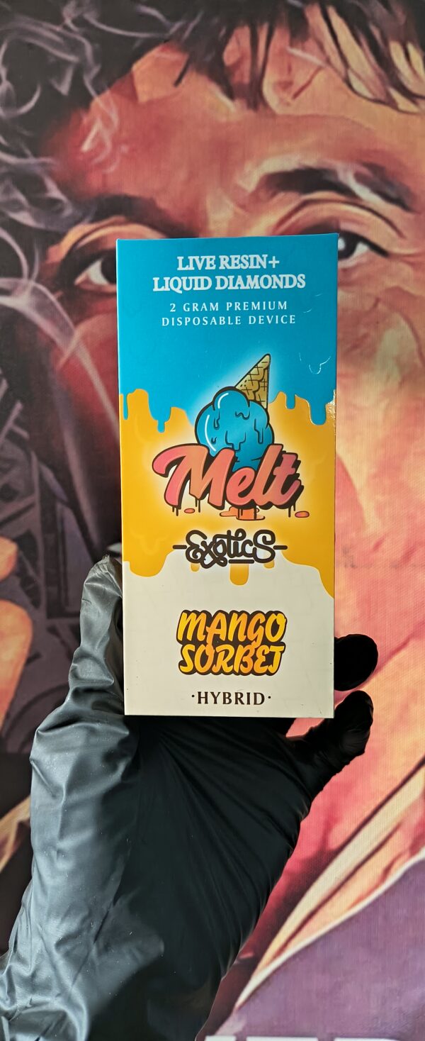 MANGO SORBET 1 MELT EXOTICS MANGO SORBET (HYBRID) 2gr