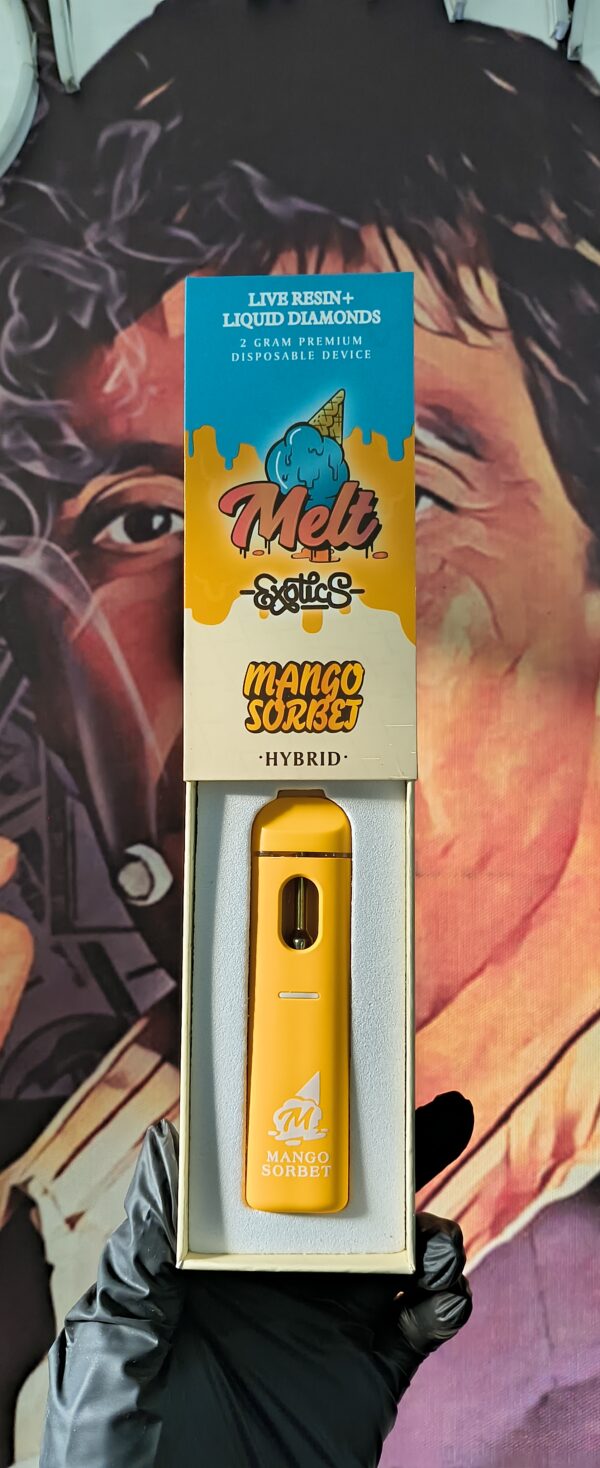 MANGO SORBET 3 MELT EXOTICS MANGO SORBET (HYBRID) 2gr