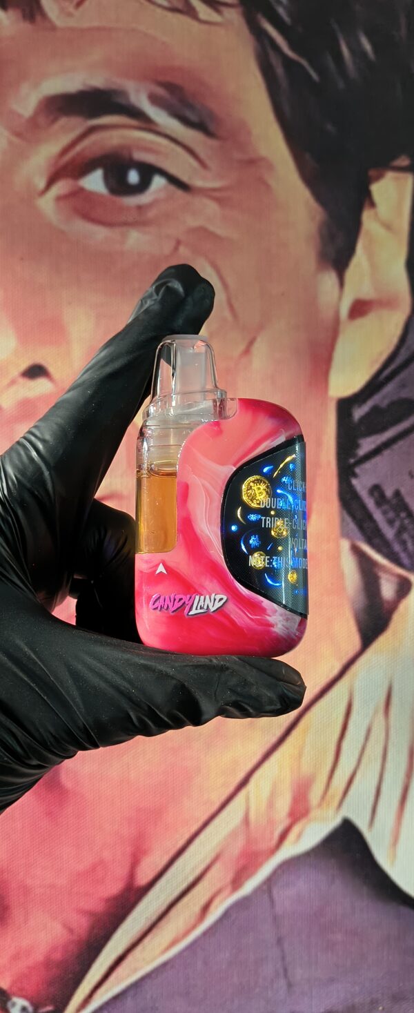 MOONROCK CANDYLAND & SUNSET SHERBERT (HYBRID) 2gr