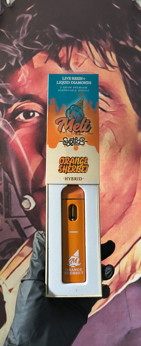 MELT EXOTICS ORANGE SHERBET (HYBRID) 2gr