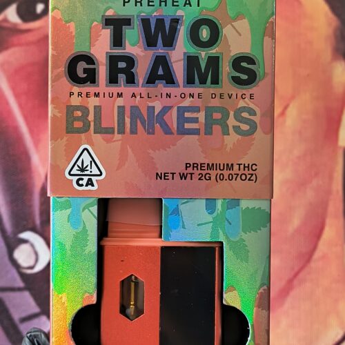 BLINKERS RUNTZ (HYBRID) 2gr
