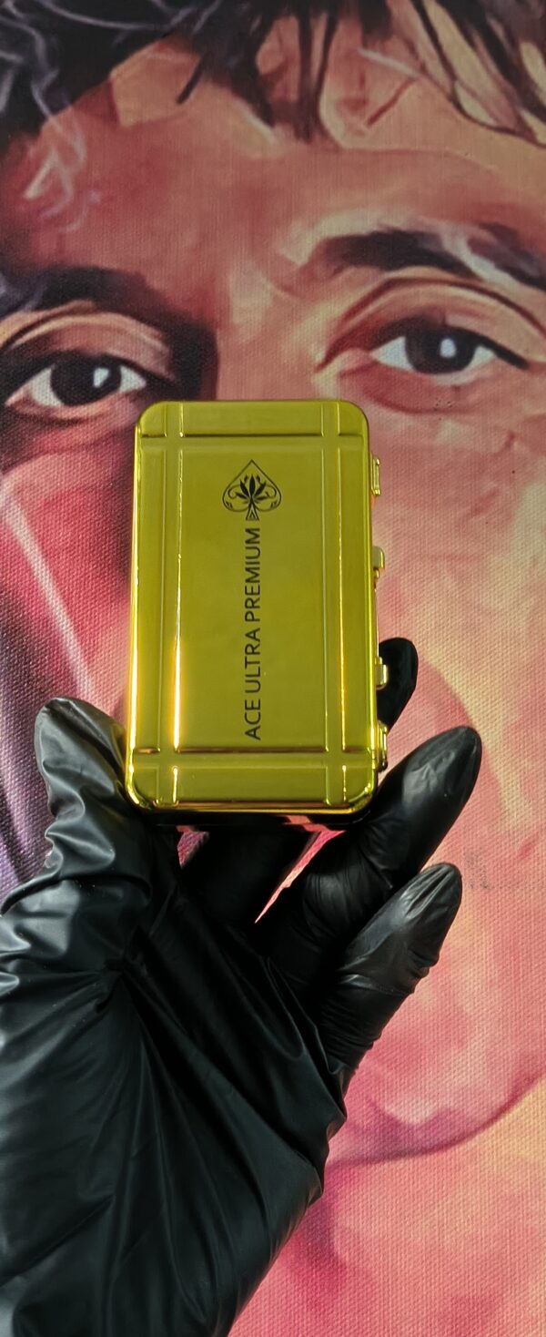 ACE ULTRA PREMIUM TRUE MANGO BLIS (HYBRID) 2gr