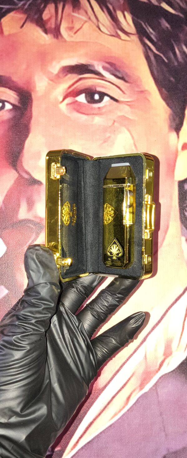 ACE ULTRA PREMIUM TRUE MANGO BLIS (HYBRID) 2gr