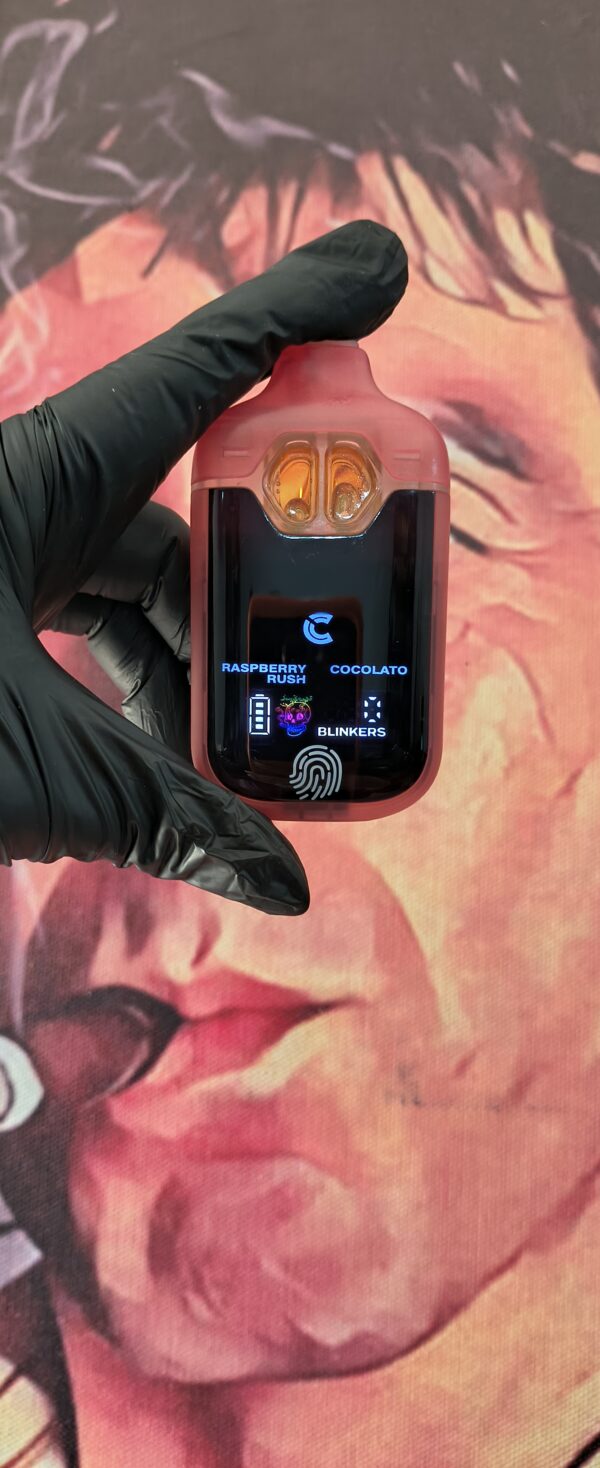 CHOICES LAB DUAL RASPBERRY RUSH & COCOLATO (HYBRID & INDICA) 2gr