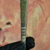 PACK MAN PANTYBOYZ BUBBLEGUM DIESEL (HYBRID) 3gr
