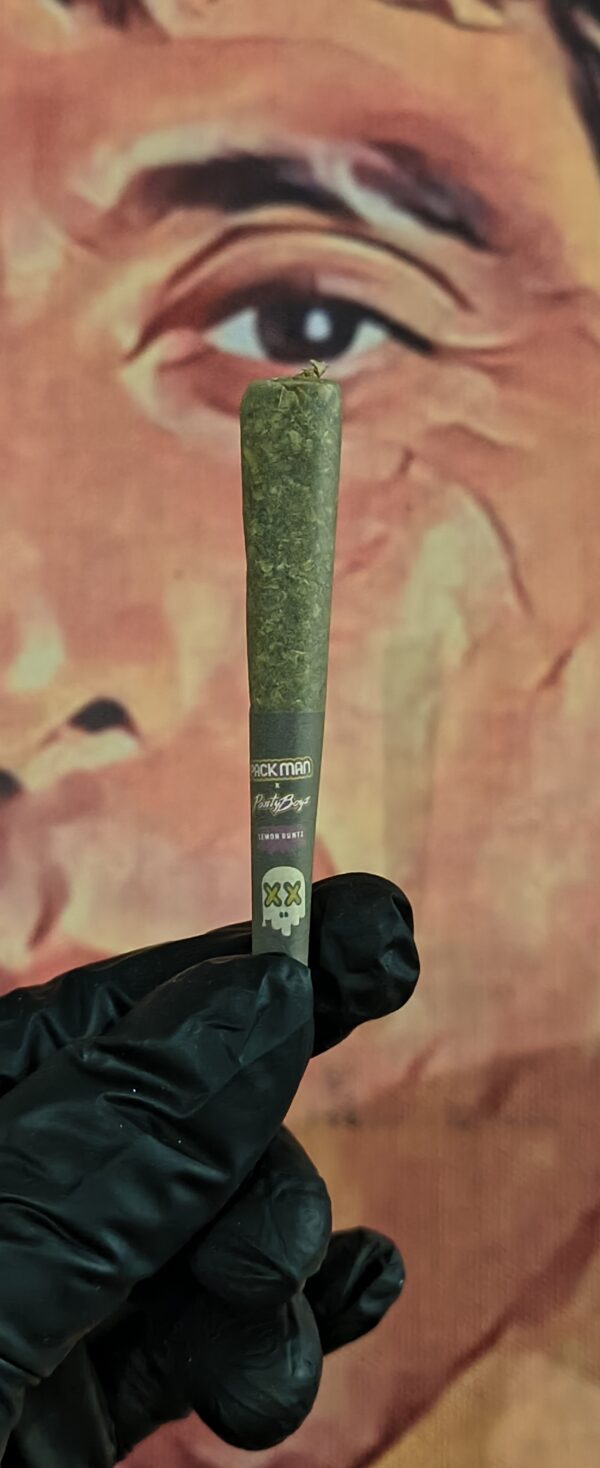 PACK MAN PANTYBOYZ BUBBLEGUM DIESEL (HYBRID) 3gr