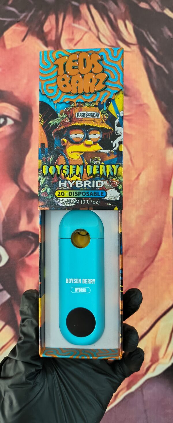 BOYSEN BERRY 3 TEOS BARZ BOYSEN BERRY (HYBRID) 2gr