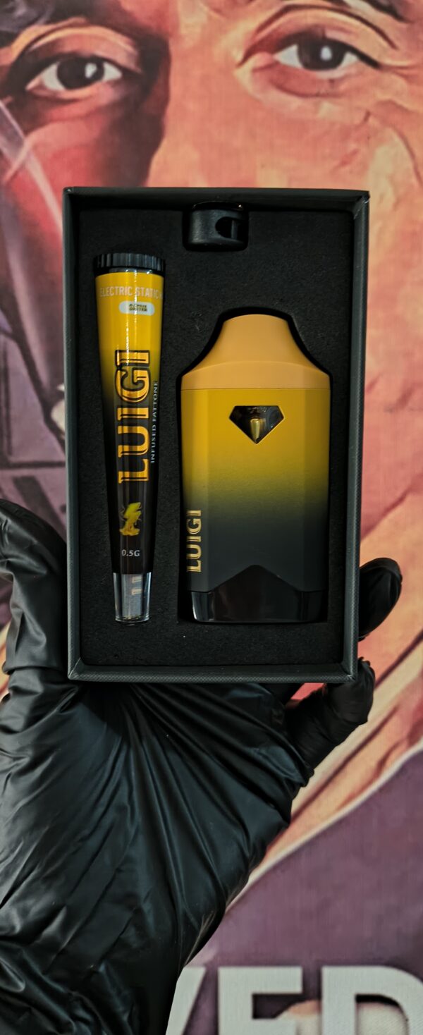 ELECTRIC STATIC HAZE 3 LUIGI V3 ELECTRIC STATIC HAZE (SATIVA) 2gr