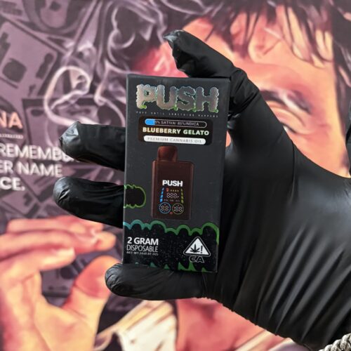PUSH BLUEBERRY GELATO 2G (SATIVA 15% & INDICA 85%)